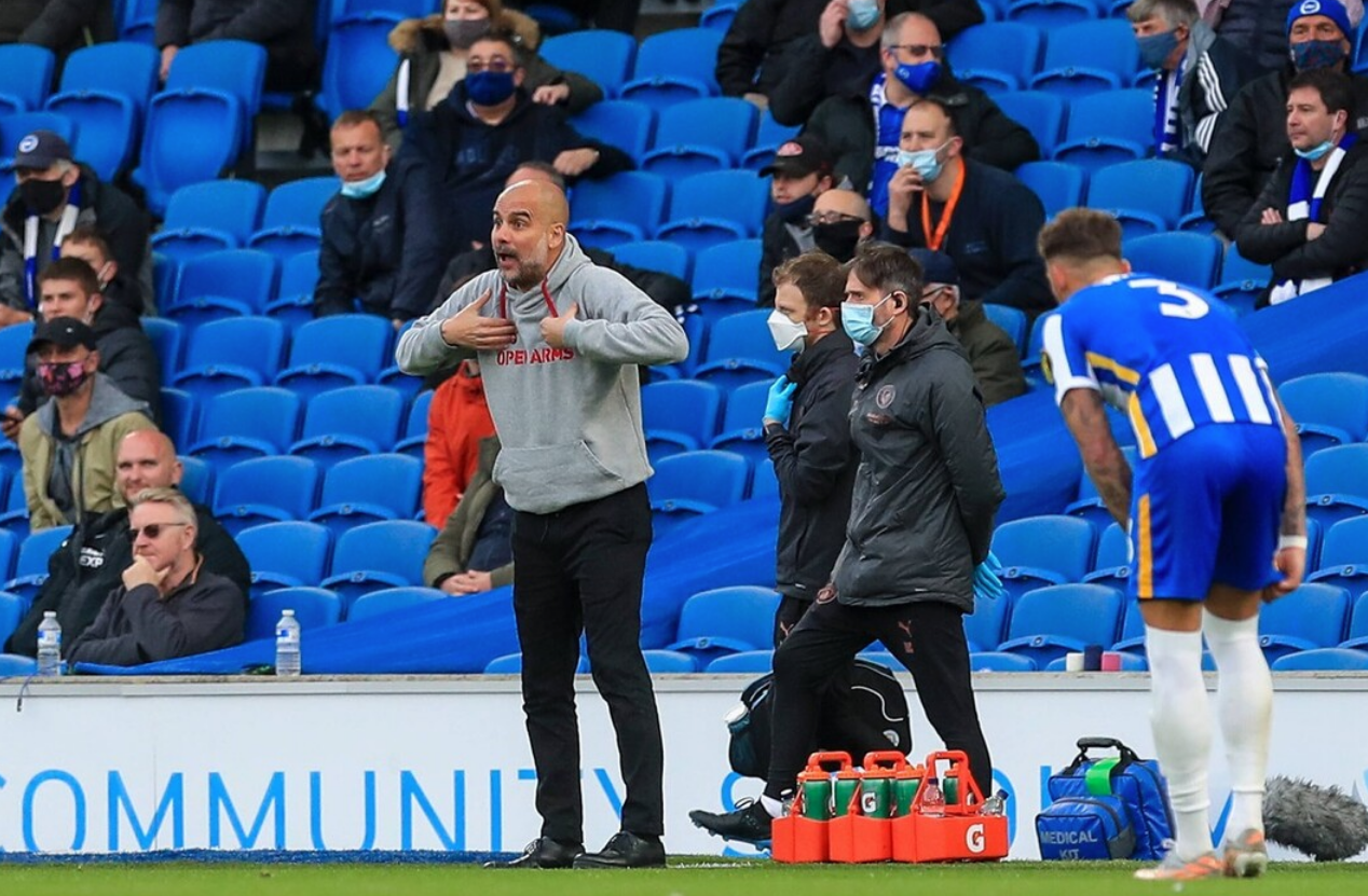 爱游戏体育-布莱顿为什么叫海鸥